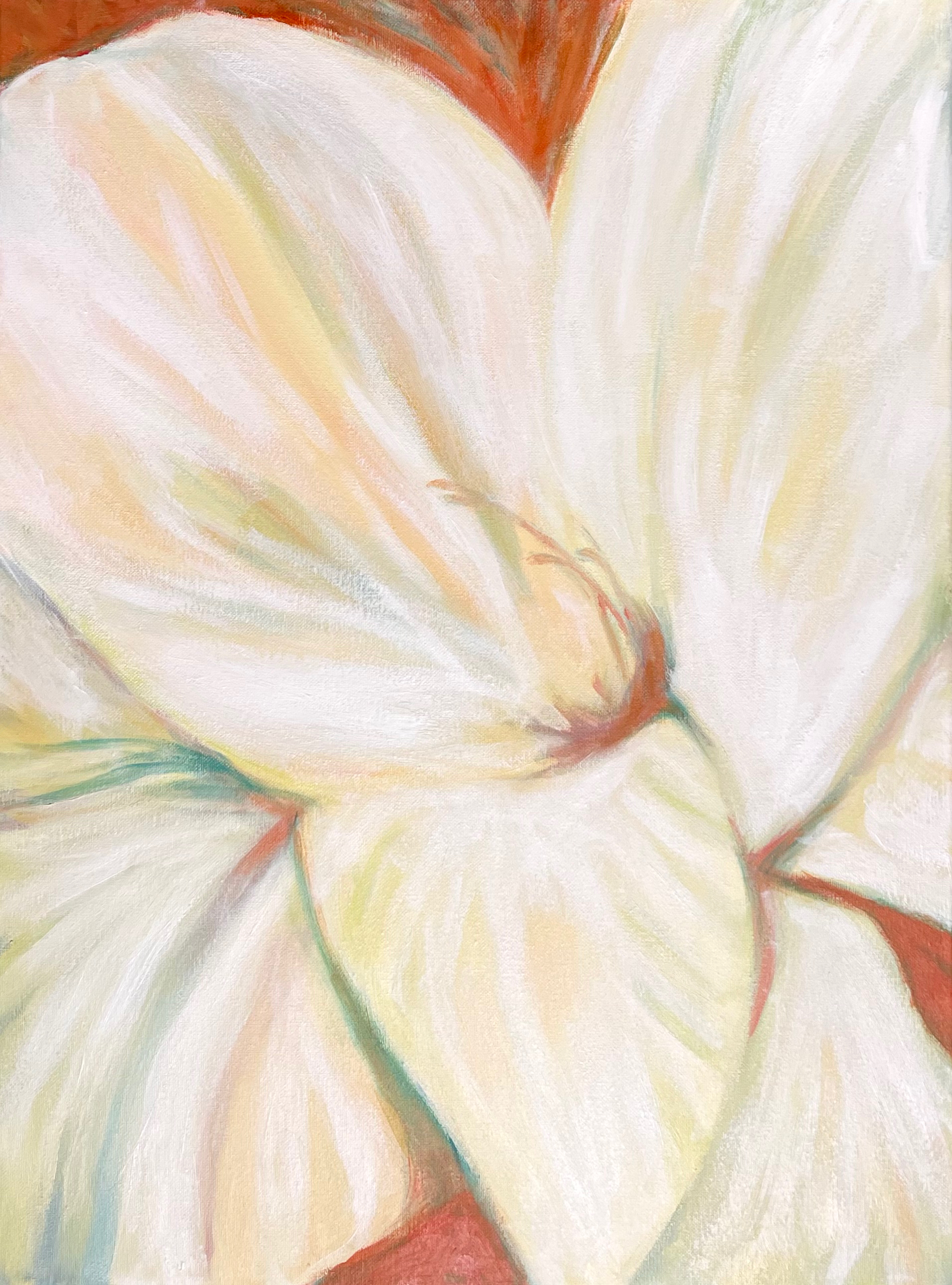 Gladiola ii (24