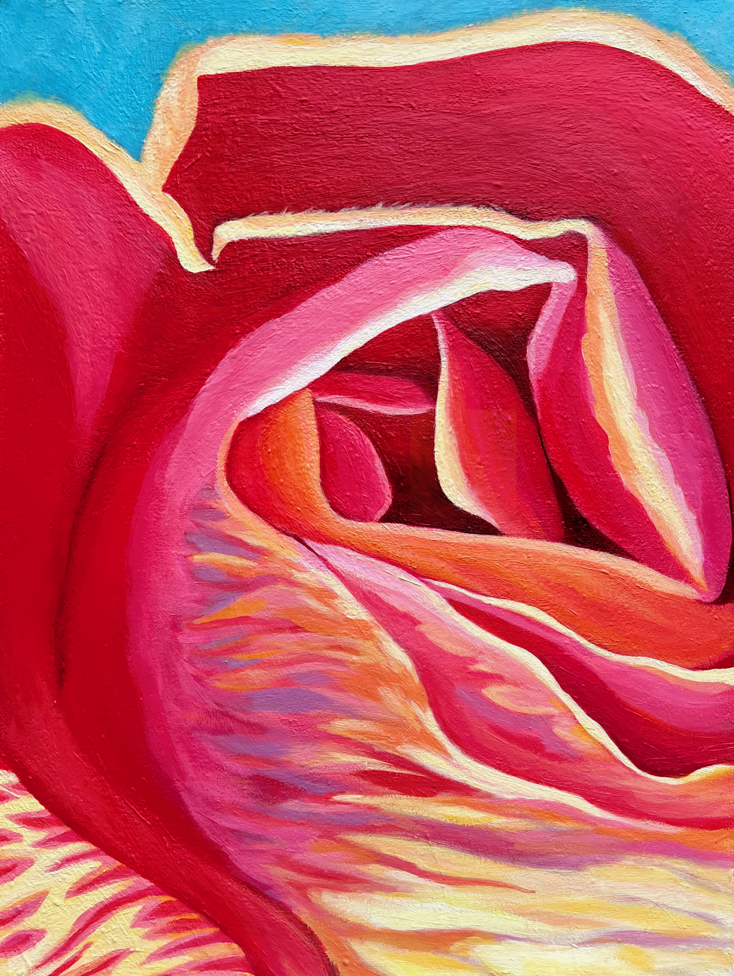 Hibiscus ii (18