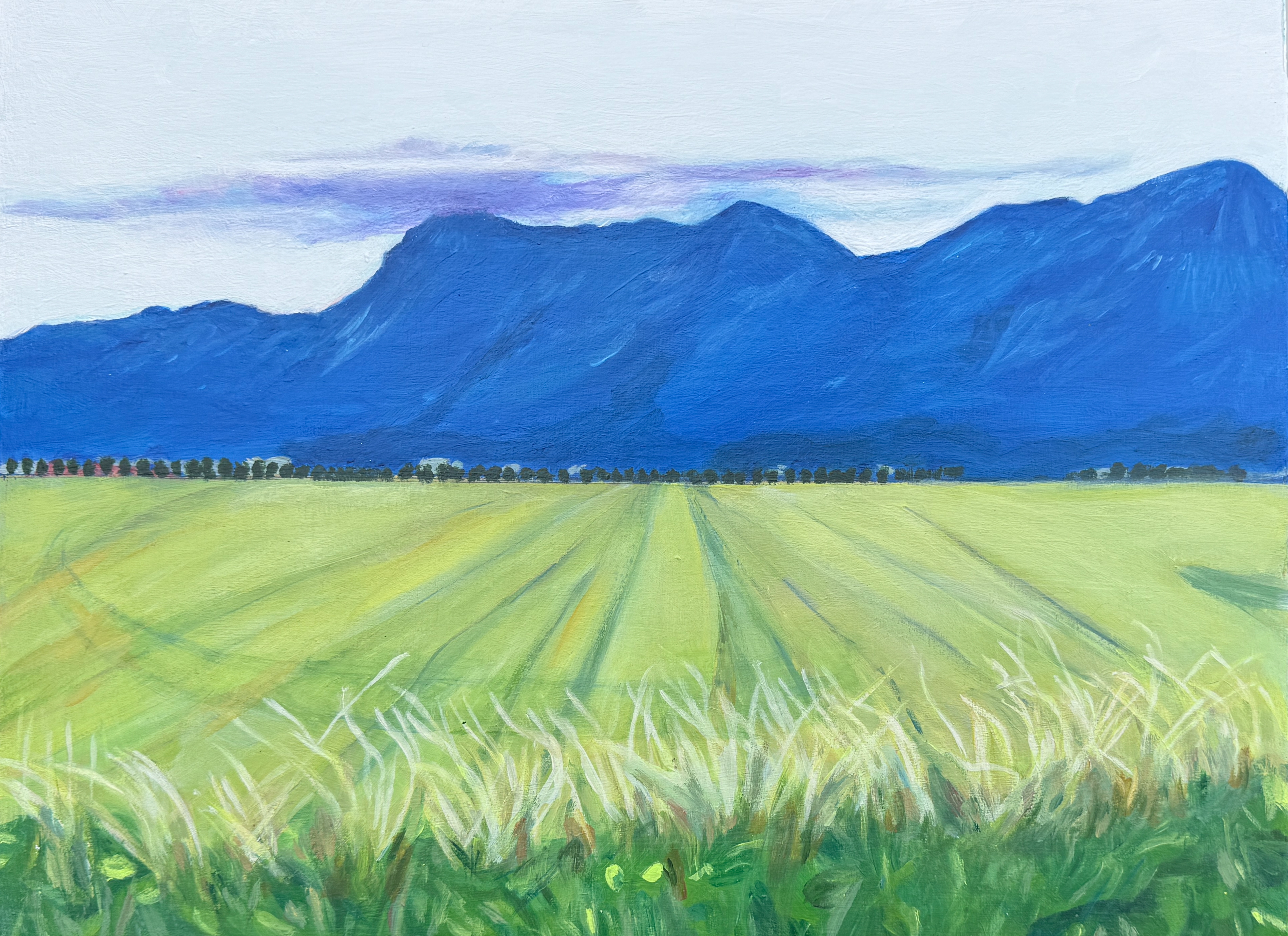 Farmer's Field Fraser Valley (2025), 15